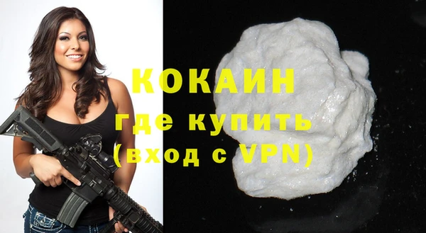 прущие грибы Вязники