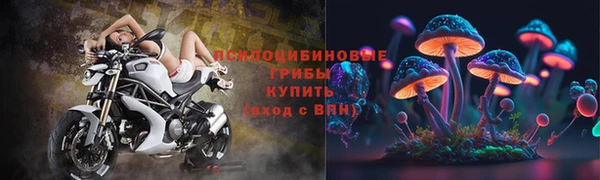 крисы Вяземский