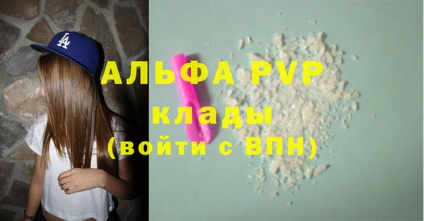 прущие грибы Вязники