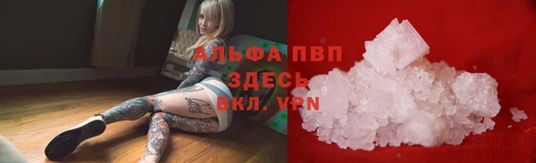 прущие грибы Вязники