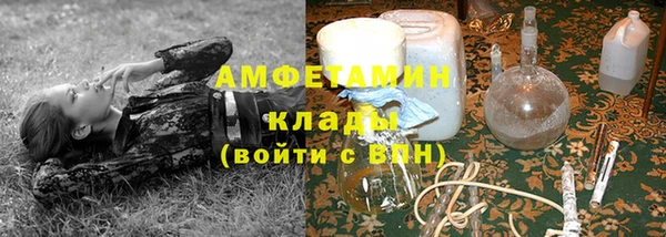 прущие грибы Вязники