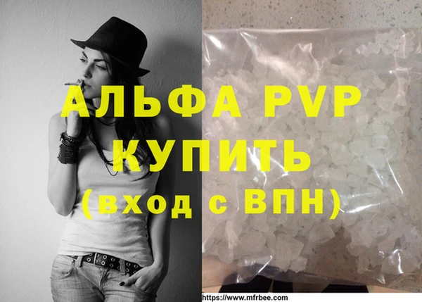 прущие грибы Вязники