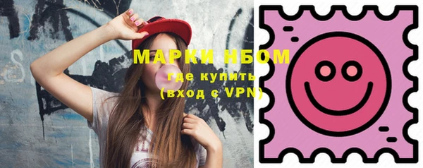 прущие грибы Вязники