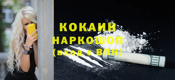 прущие грибы Вязники
