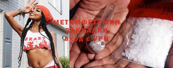 прущие грибы Вязники