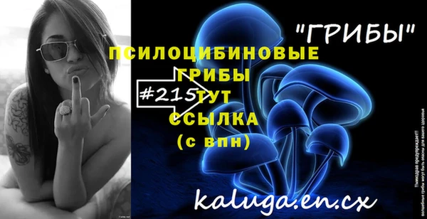 крисы Вяземский